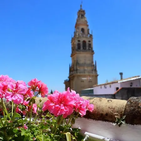 Casa Con Encanto En La Juderia De Будинок відпочинку *