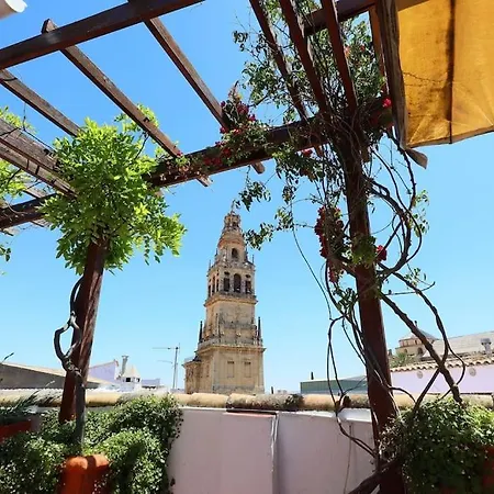 Casa Con Encanto En La Juderia De Кордова